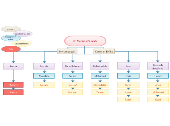 Family Flow Chart