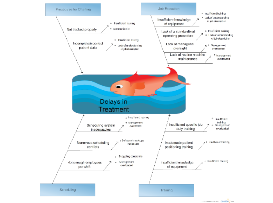 Fishbone  Ishikawa Diagram