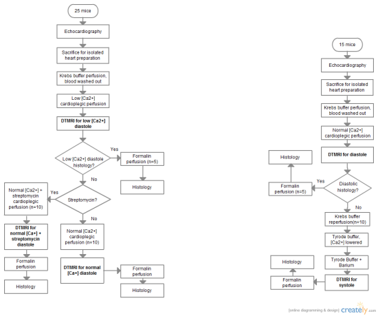 Flow Chart Of Cashlog Billing Flow